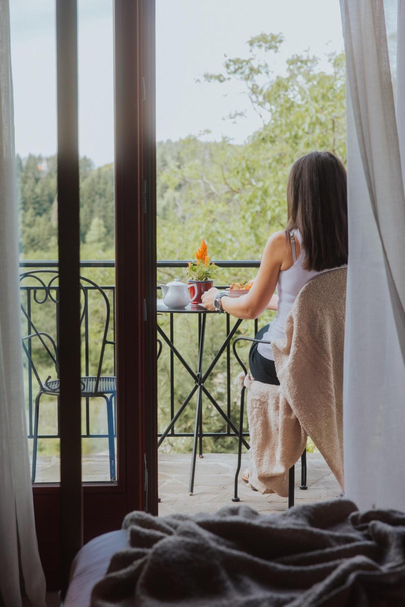 Rouista Tzoumerka Resort Vourgareli الغرفة الصورة